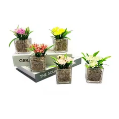 Künstliche saftige Blumenbonsai