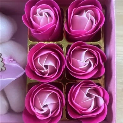 Bären Sie Rosenseifenblume